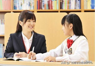 教育咨詢師 招生顧問(wèn) 招生簡(jiǎn)章